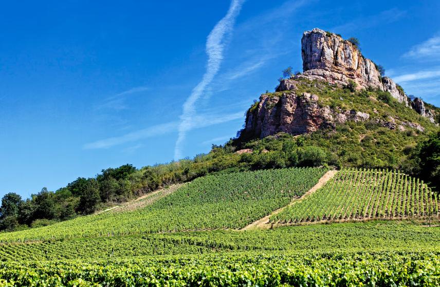 La Vallée du Rhône : Un voyage à travers les terroirs variés